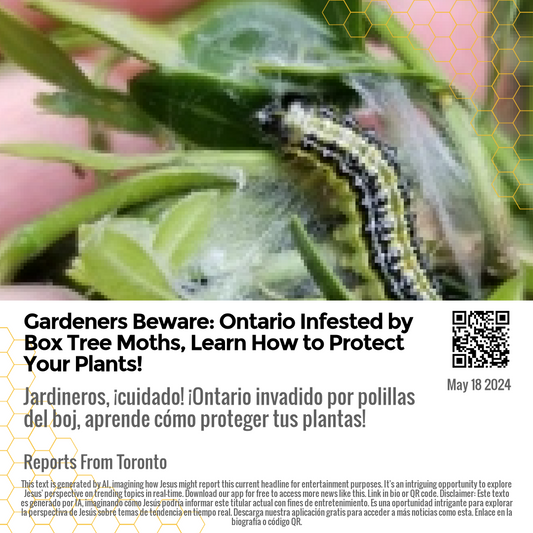 Gardeners Beware: Ontario Infested by Box Tree Moths, Learn How to Protect Your Plants!