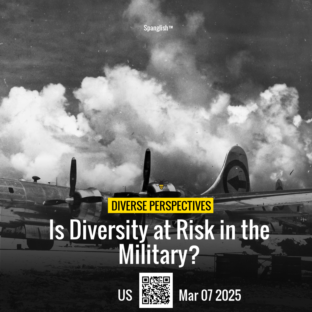 Is Diversity at Risk in the Military?