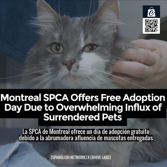 Montreal SPCA Offers Free Adoption Day Due to Overwhelming Influx of Surrendered Pets