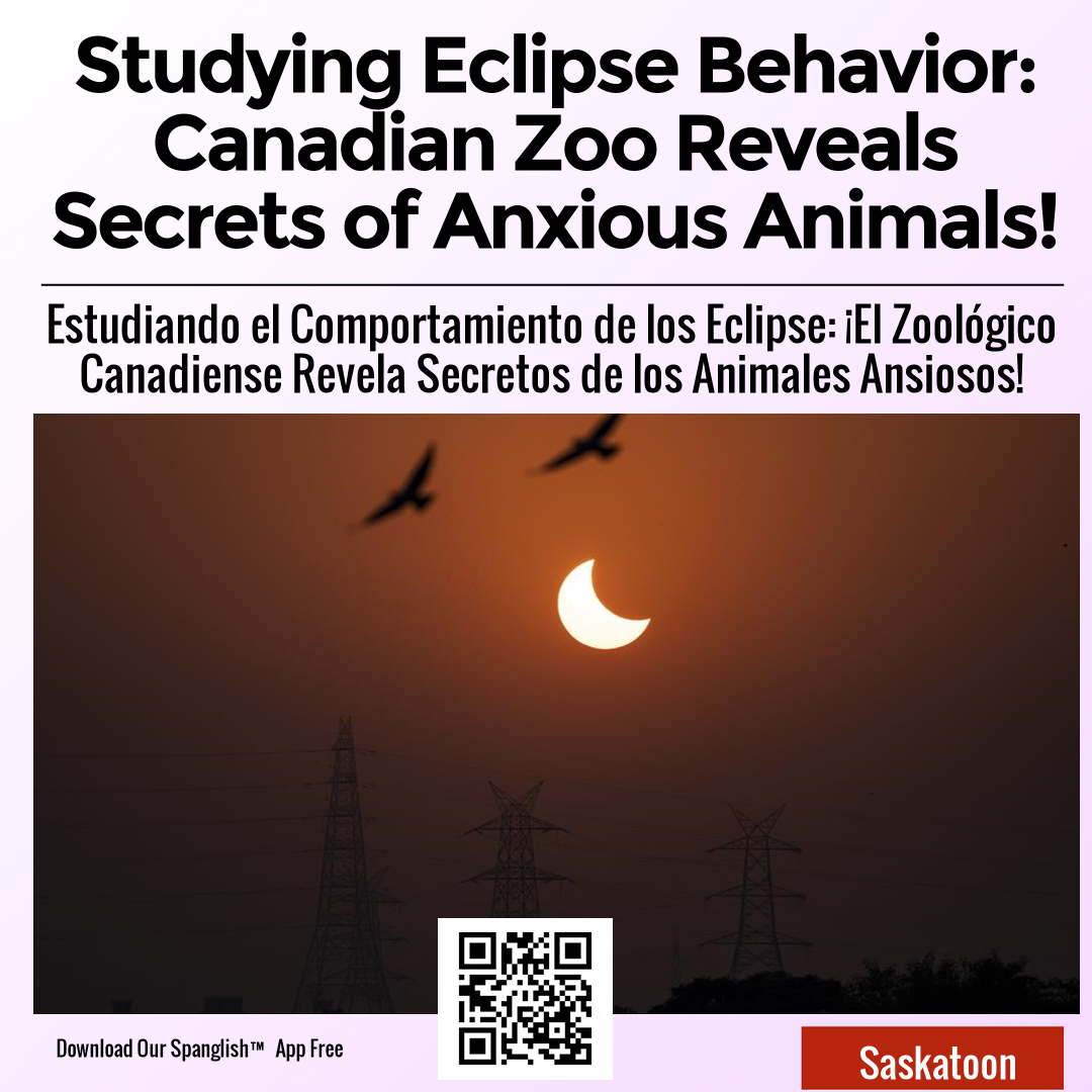 Studying Eclipse Behavior: Canadian Zoo Reveals Secrets of Anxious Animals!