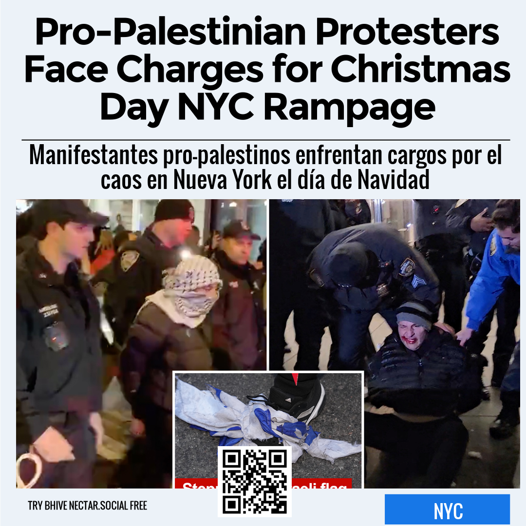 Pro-Palestinian Protesters Face Charges for Christmas Day NYC Rampage