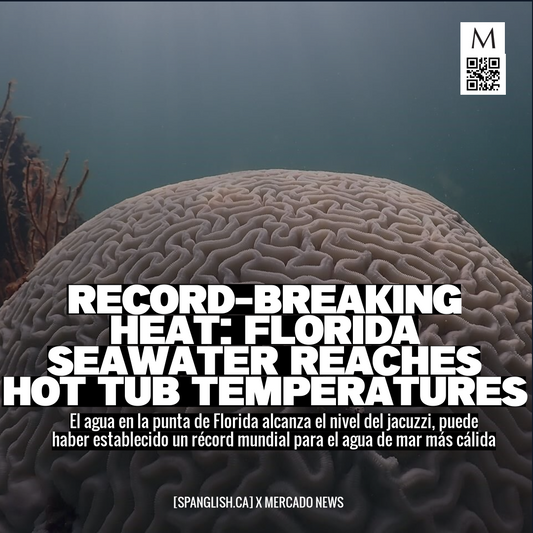 Record-Breaking Heat: Florida Seawater Reaches Hot Tub Temperatures