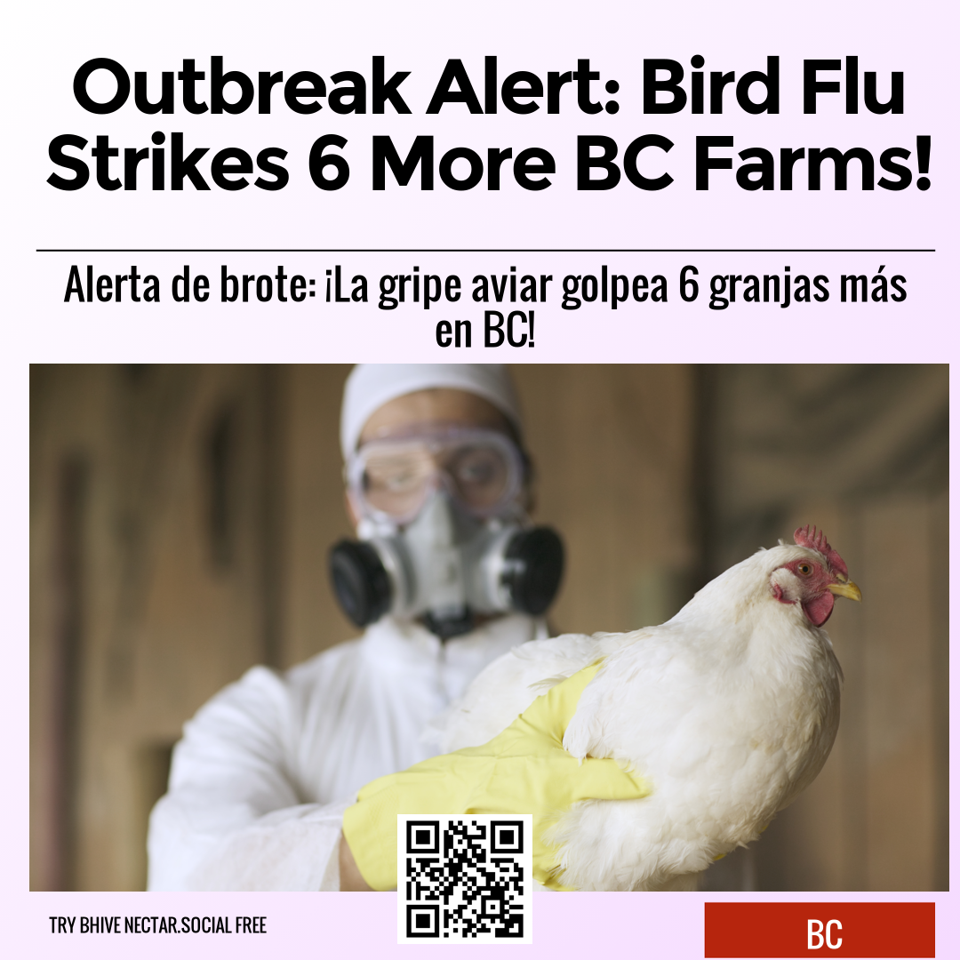 Outbreak Alert: Bird Flu Strikes 6 More BC Farms!