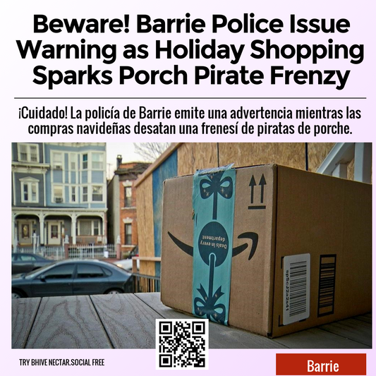 Beware! Barrie Police Issue Warning as Holiday Shopping Sparks Porch Pirate Frenzy