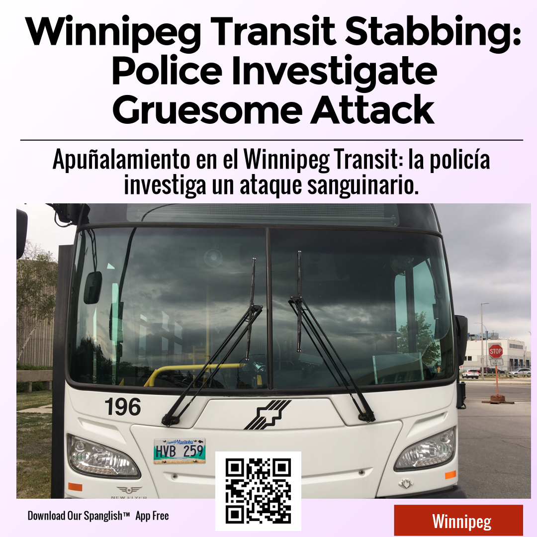 Winnipeg Transit Stabbing: Police Investigate Gruesome Attack