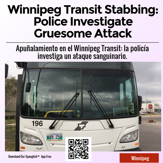 Winnipeg Transit Stabbing: Police Investigate Gruesome Attack