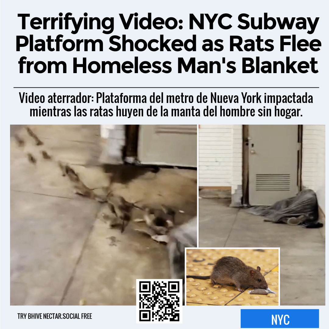 Terrifying Video: NYC Subway Platform Shocked as Rats Flee from Homeless Man's Blanket