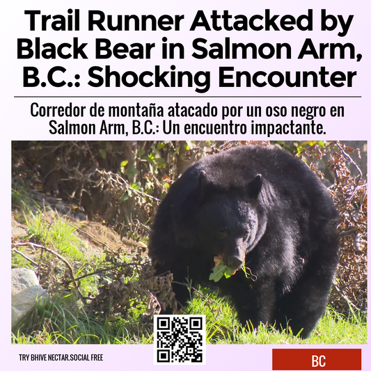 Trail Runner Attacked by Black Bear in Salmon Arm, B.C.: Shocking Encounter