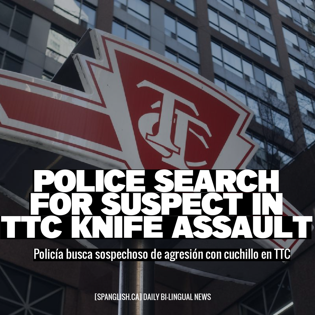 Police Search for Suspect in TTC Knife Assault