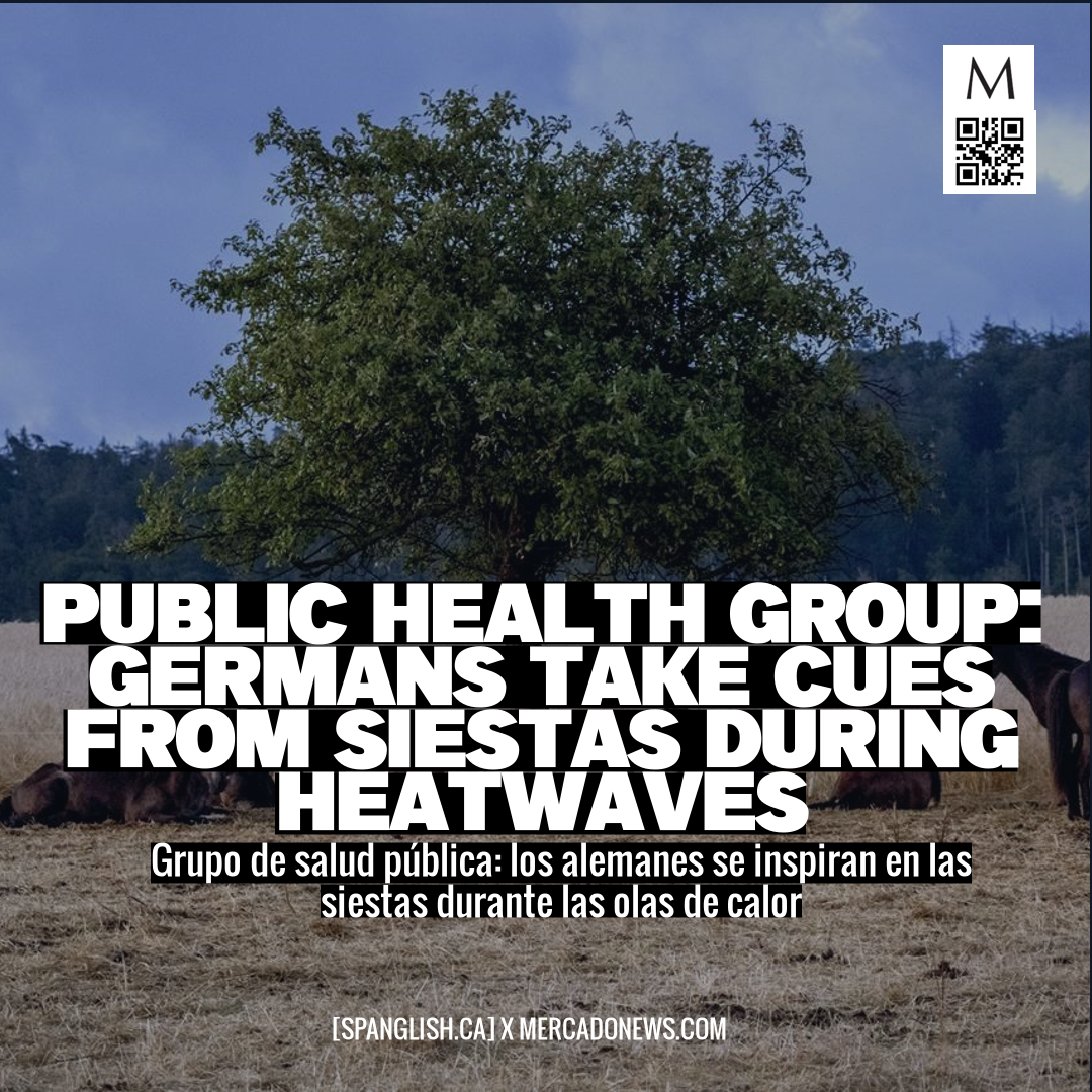 Public Health Group: Germans Take Cues from Siestas During Heatwaves