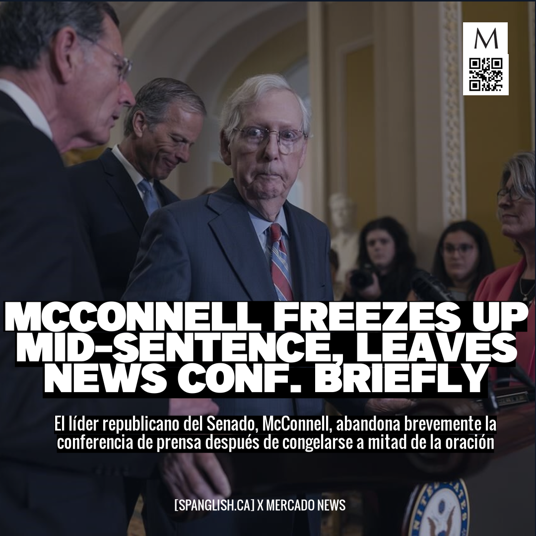 McConnell Freezes Up Mid-Sentence, Leaves News Conf. Briefly