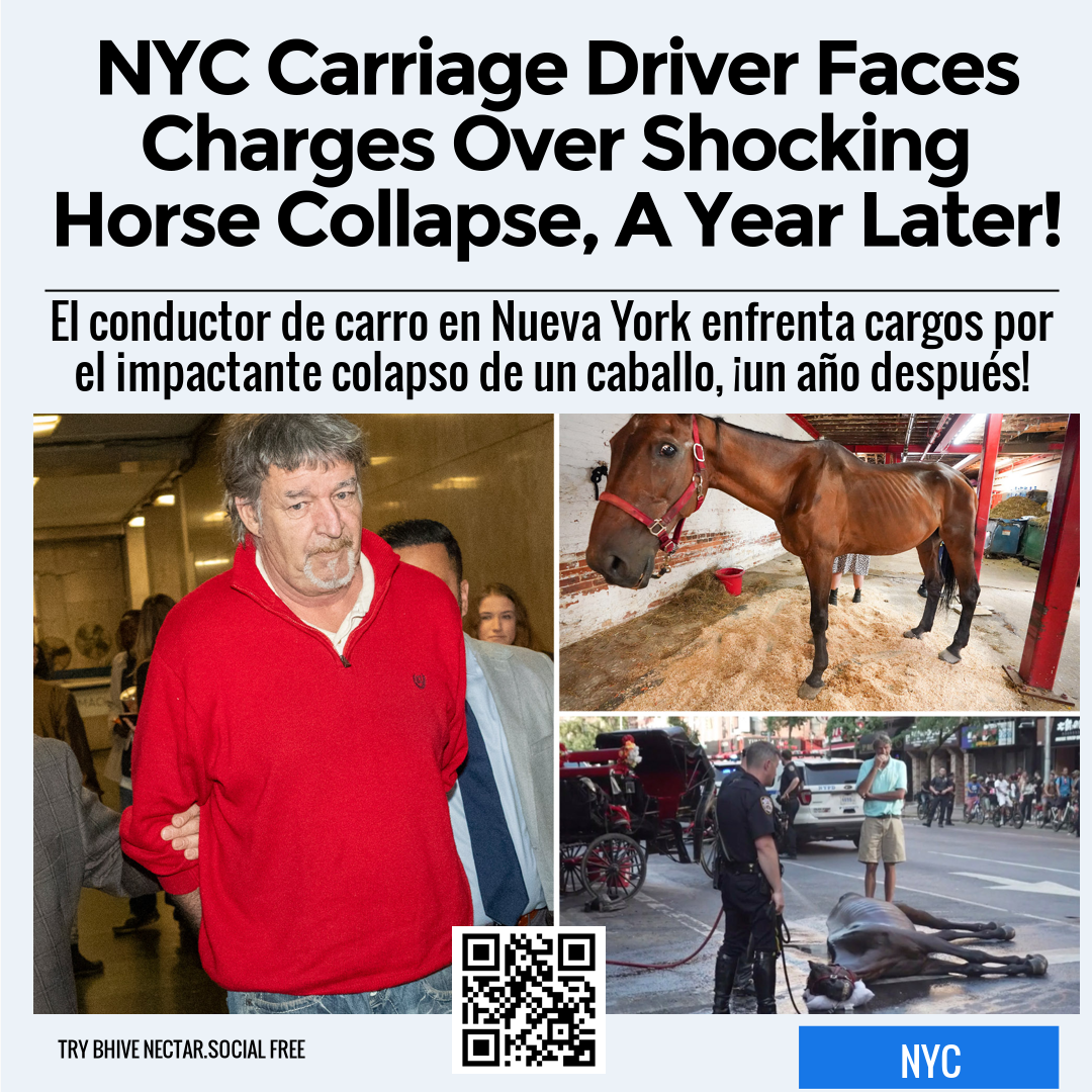 NYC Carriage Driver Faces Charges Over Shocking Horse Collapse, A Year Later!