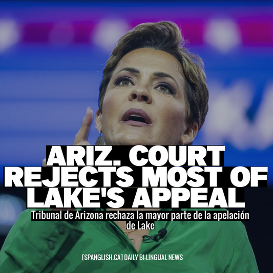 Ariz. Court Rejects Most of Lake's Appeal