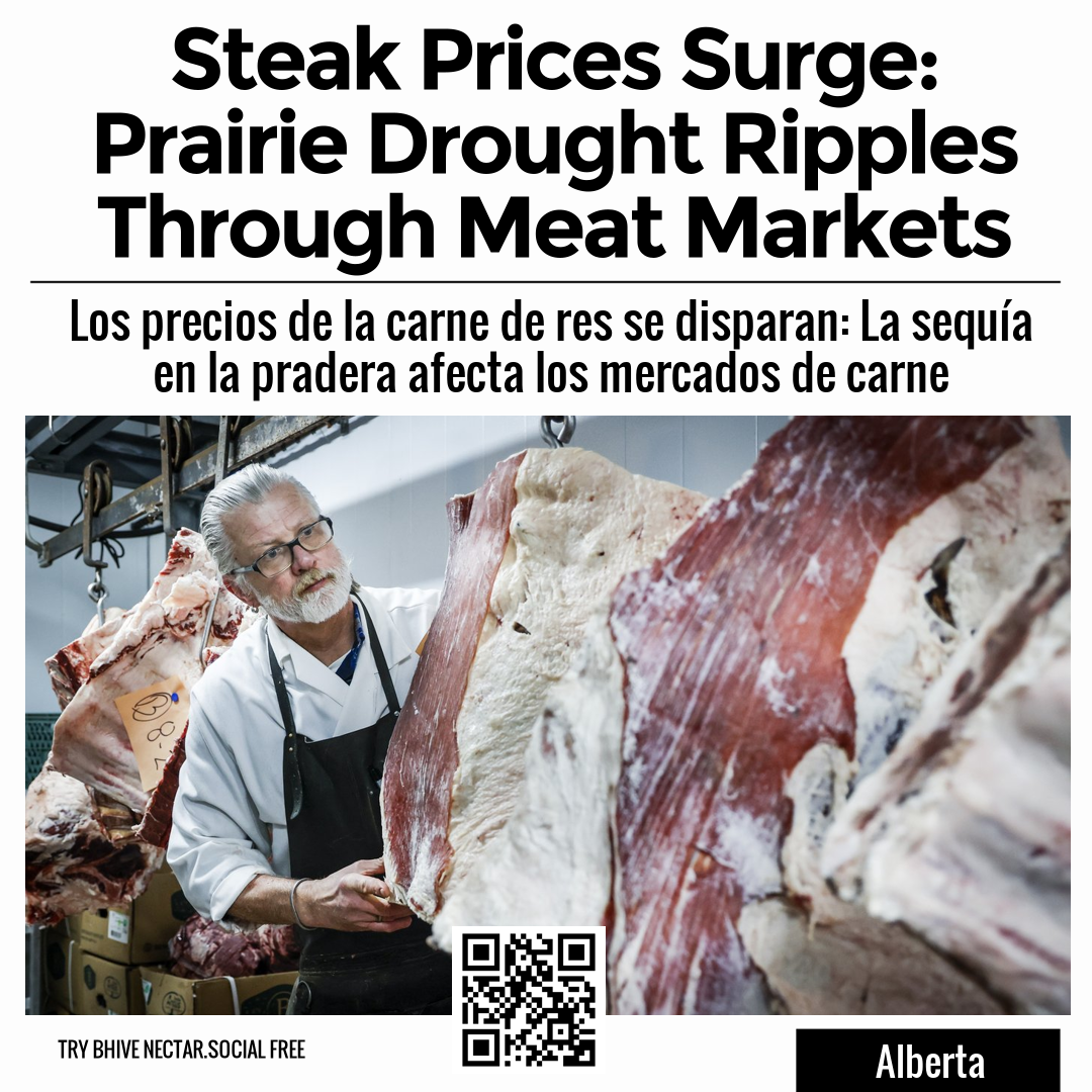 Steak Prices Surge: Prairie Drought Ripples Through Meat Markets