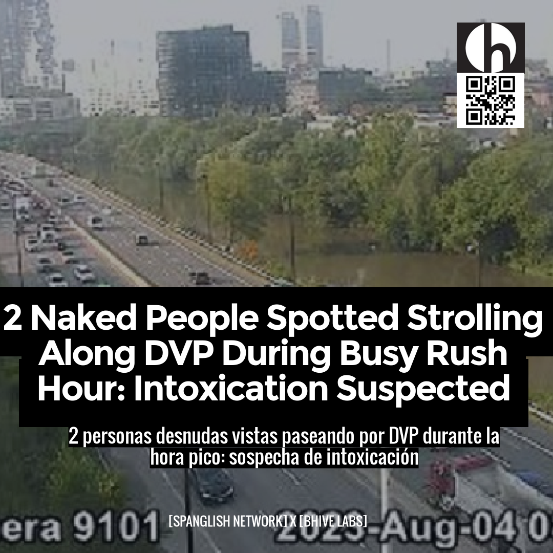 2 Naked People Spotted Strolling Along DVP During Busy Rush Hour: Intoxication Suspected