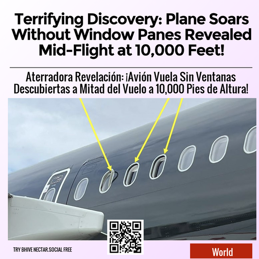 Terrifying Discovery: Plane Soars Without Window Panes Revealed Mid-Flight at 10,000 Feet!