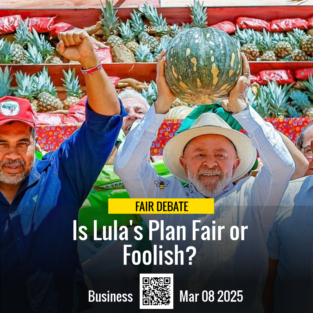 Is Lula's Plan Fair or Foolish?