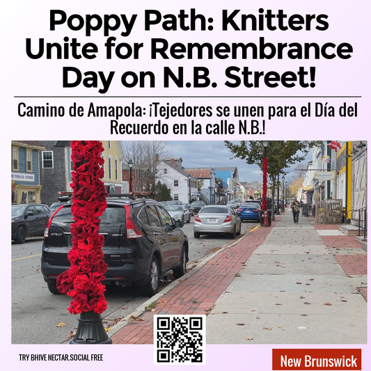 Poppy Path: Knitters Unite for Remembrance Day on N.B. Street!