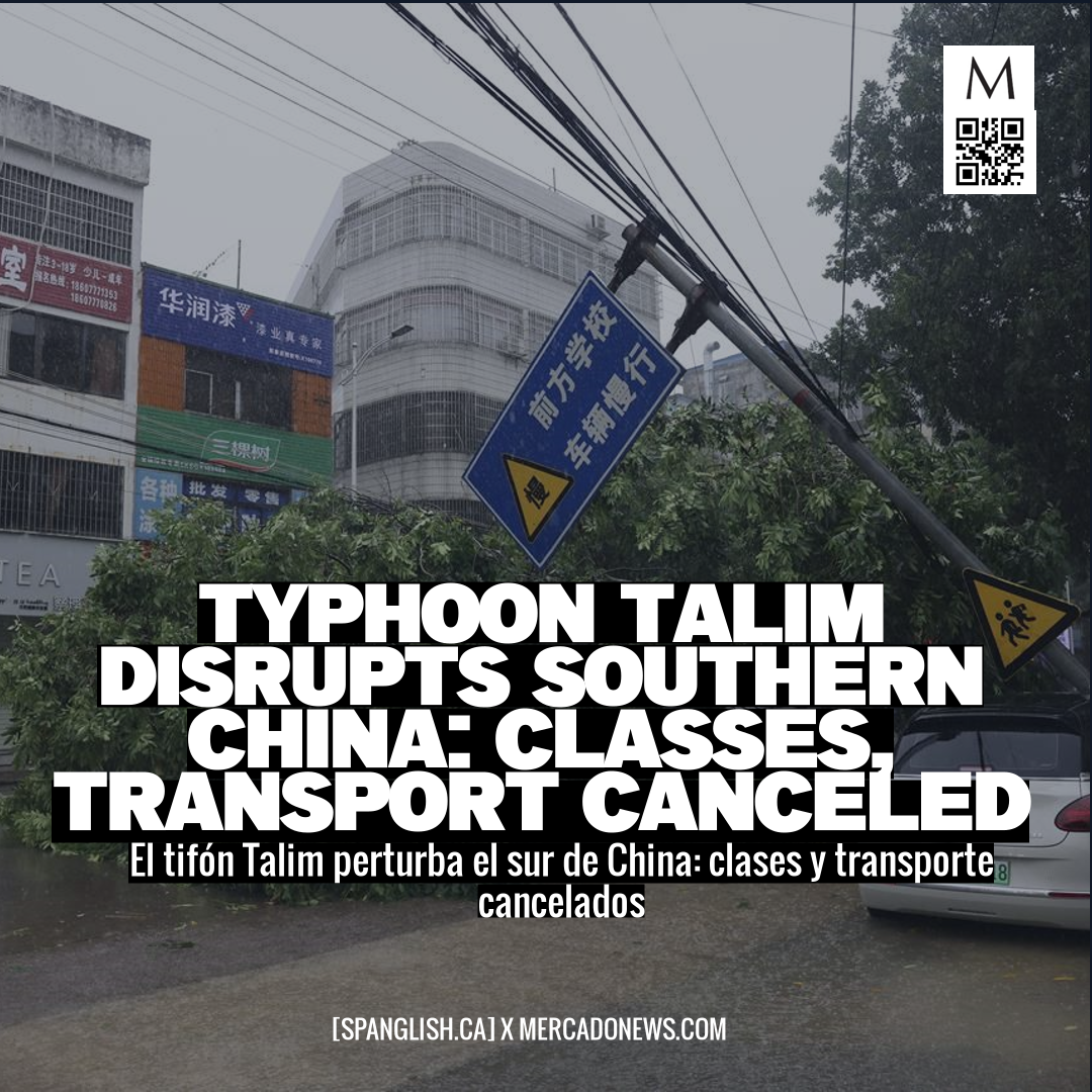 Typhoon Talim Disrupts Southern China: Classes, Transport Canceled