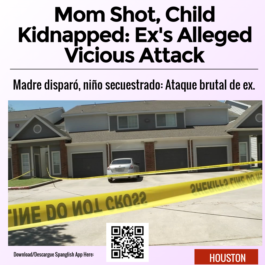 Mom Shot, Child Kidnapped: Ex's Alleged Vicious Attack