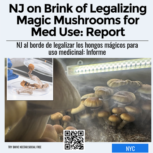 NJ on Brink of Legalizing Magic Mushrooms for Med Use: Report