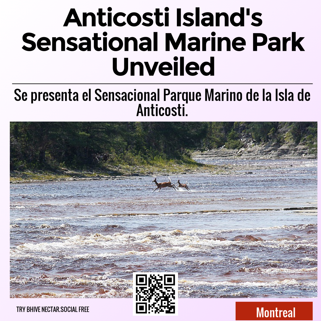 Anticosti Island's Sensational Marine Park Unveiled