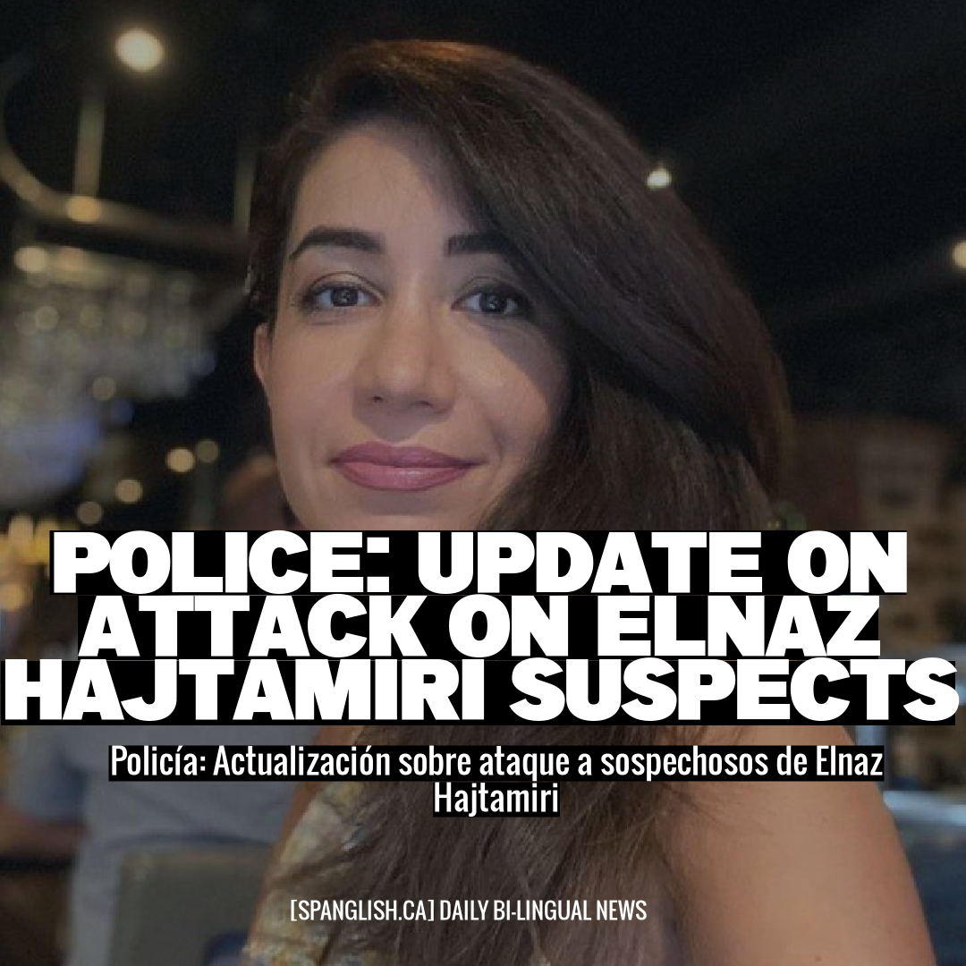 Police: Update on Attack on Elnaz Hajtamiri Suspects