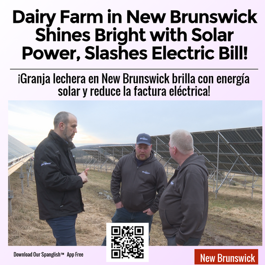 Dairy Farm in New Brunswick Shines Bright with Solar Power, Slashes Electric Bill!