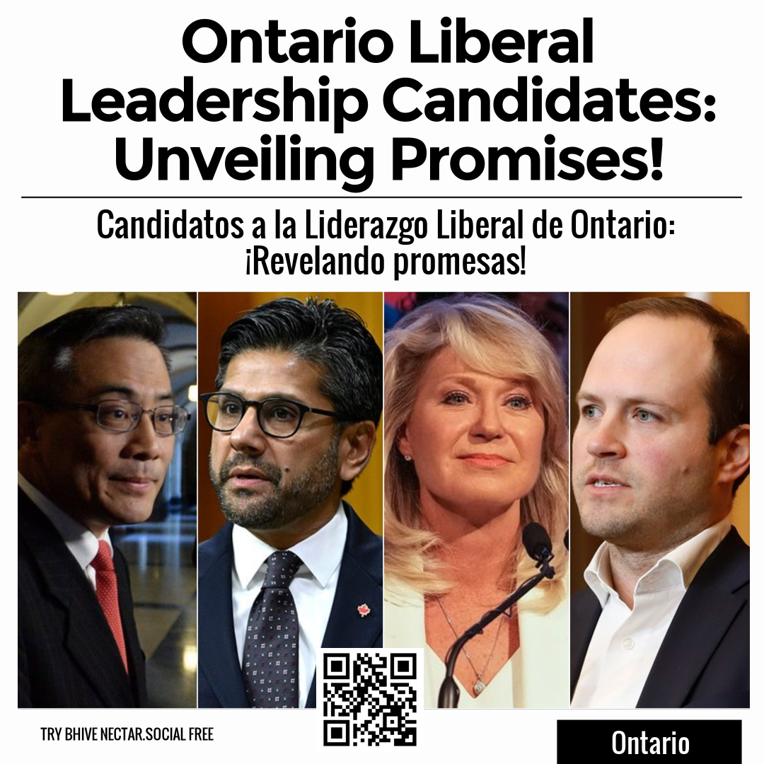 Ontario Liberal Leadership Candidates: Unveiling Promises!