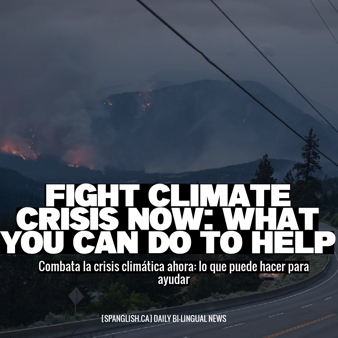 Fight Climate Crisis Now: What You Can Do to Help