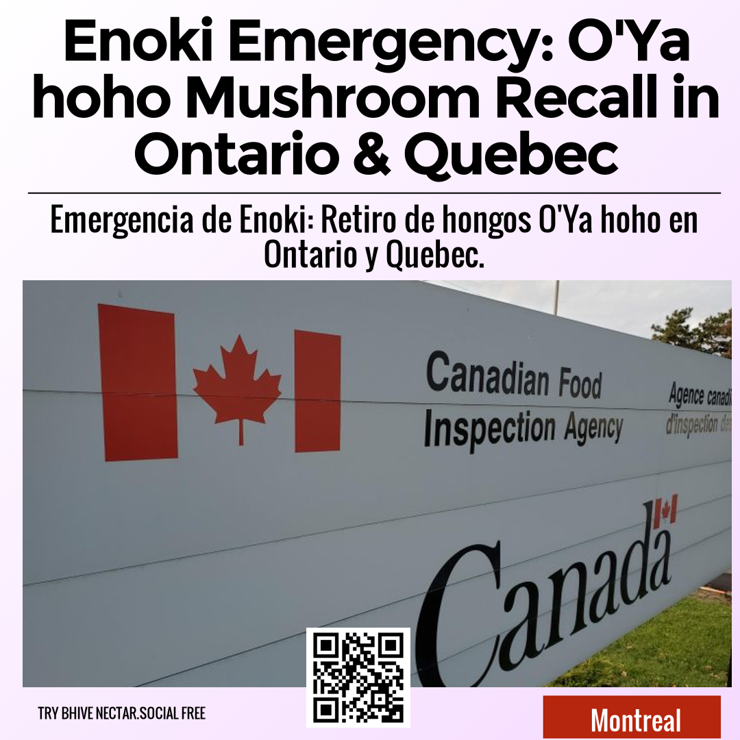 Enoki Emergency: O'Ya hoho Mushroom Recall in Ontario & Quebec