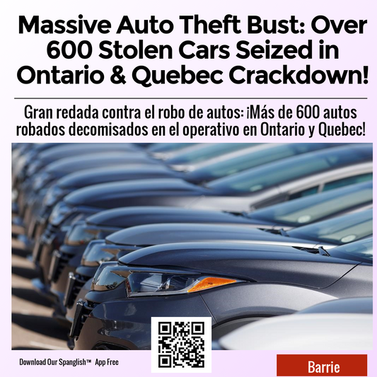 Massive Auto Theft Bust: Over 600 Stolen Cars Seized in Ontario & Quebec Crackdown!