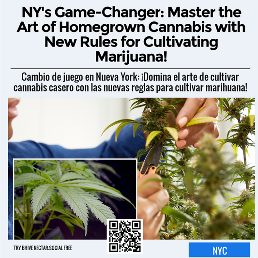 NY's Game-Changer: Master the Art of Homegrown Cannabis with New Rules for Cultivating Marijuana!