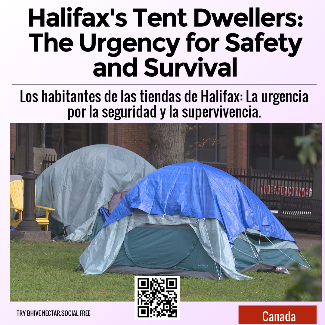 Halifax's Tent Dwellers: The Urgency for Safety and Survival