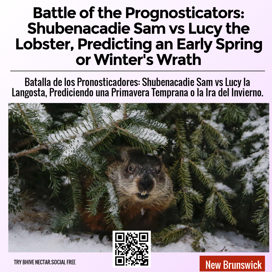 Battle of the Prognosticators: Shubenacadie Sam vs Lucy the Lobster, Predicting an Early Spring or Winter's Wrath