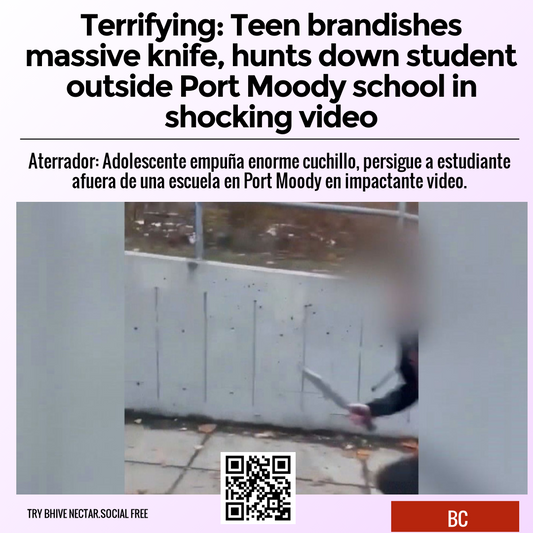 Terrifying: Teen brandishes massive knife, hunts down student outside Port Moody school in shocking video