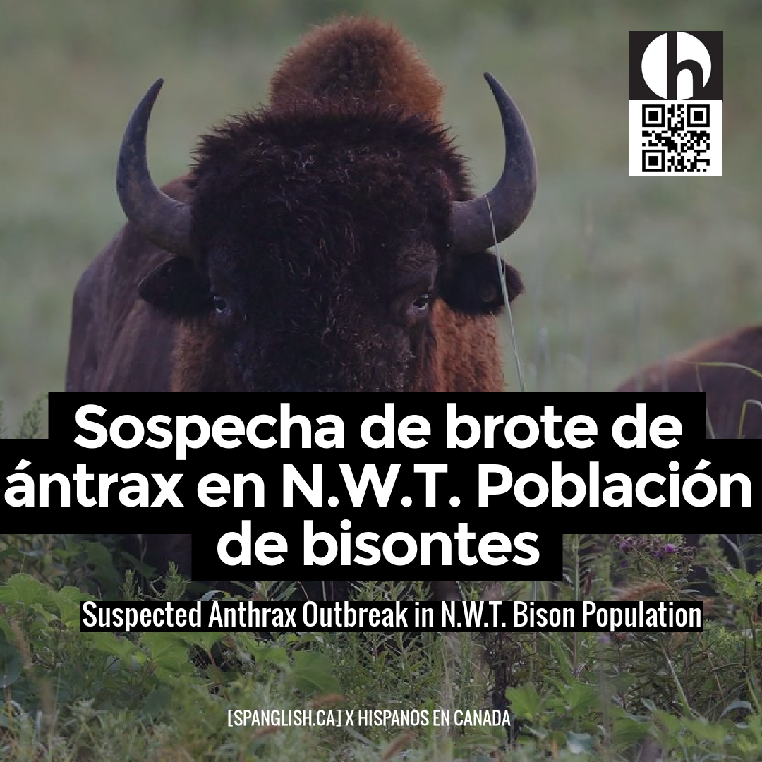 Suspected Anthrax Outbreak in N.W.T. Bison Population