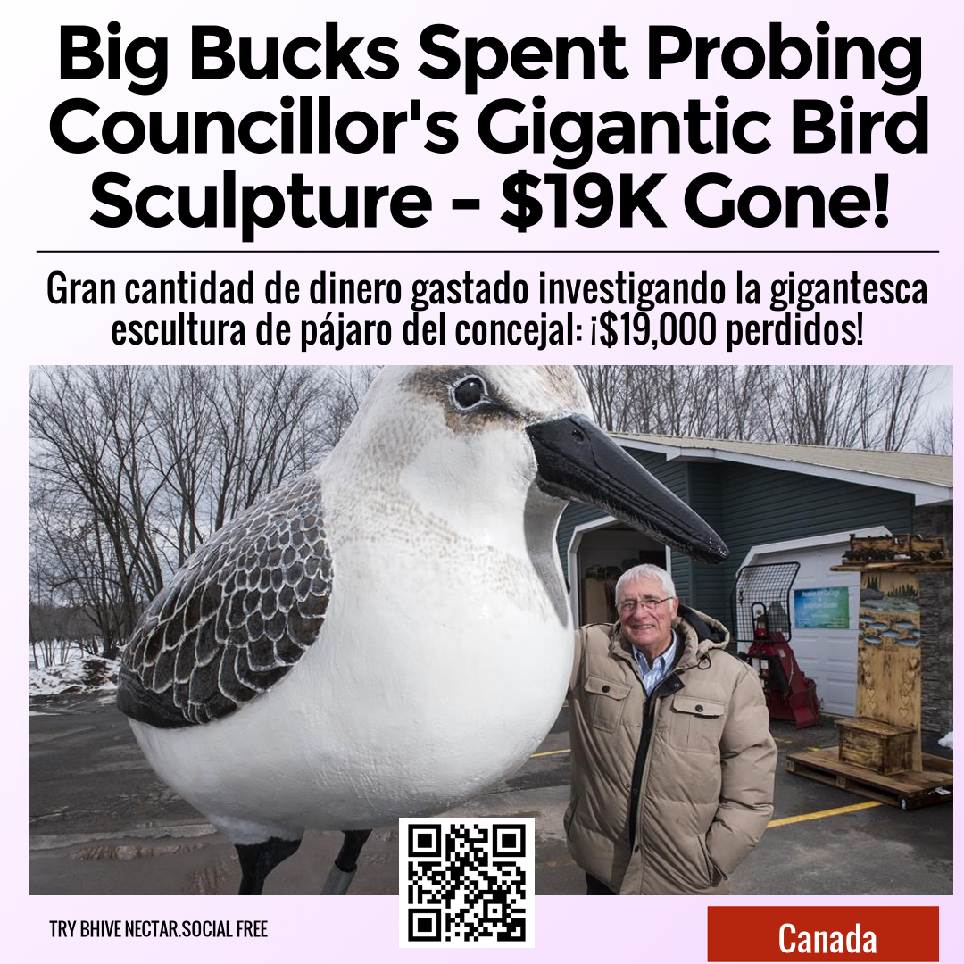 Big Bucks Spent Probing Councillor's Gigantic Bird Sculpture - $19K Gone!