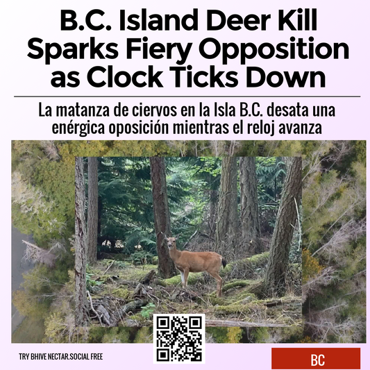 B.C. Island Deer Kill Sparks Fiery Opposition as Clock Ticks Down