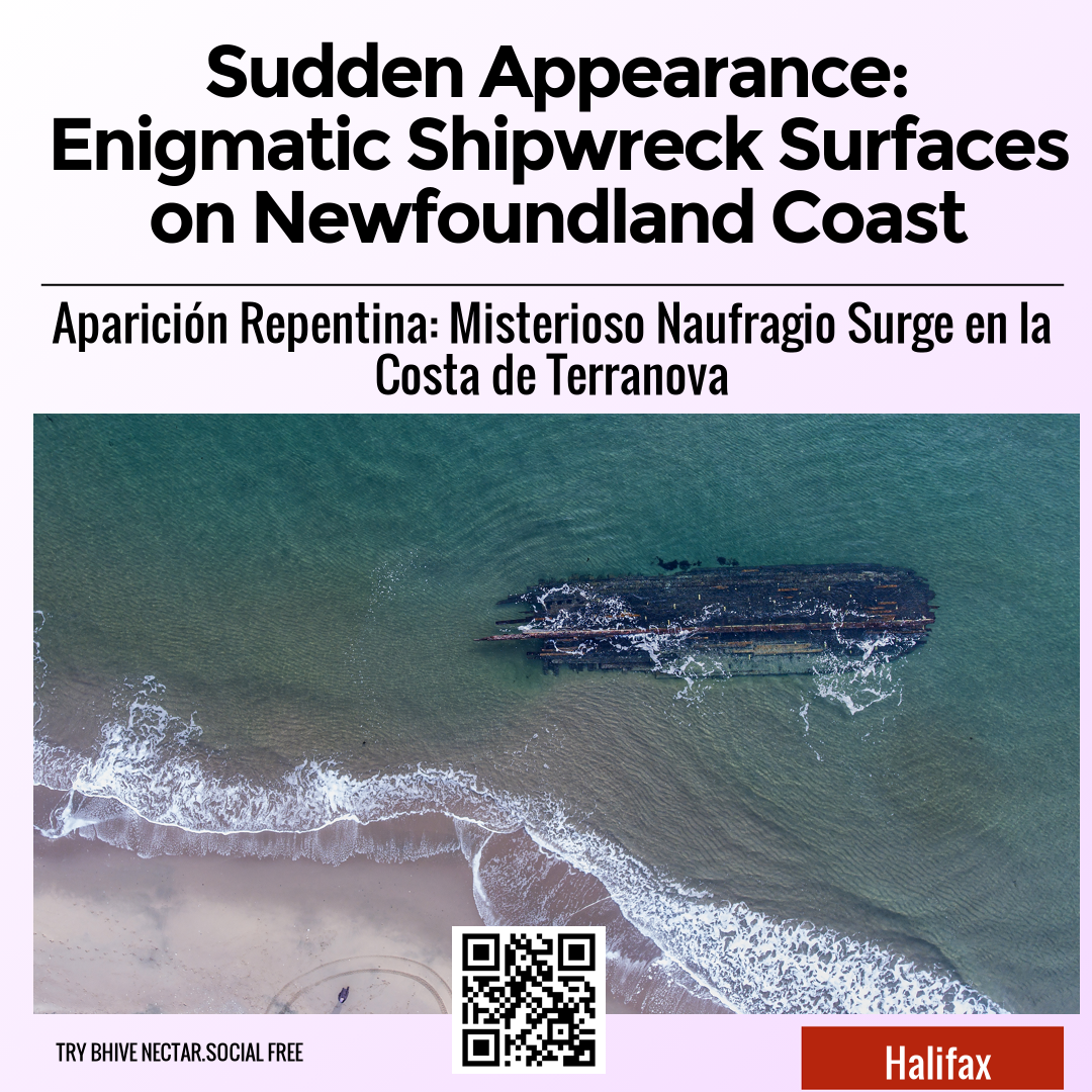 Sudden Appearance: Enigmatic Shipwreck Surfaces on Newfoundland Coast