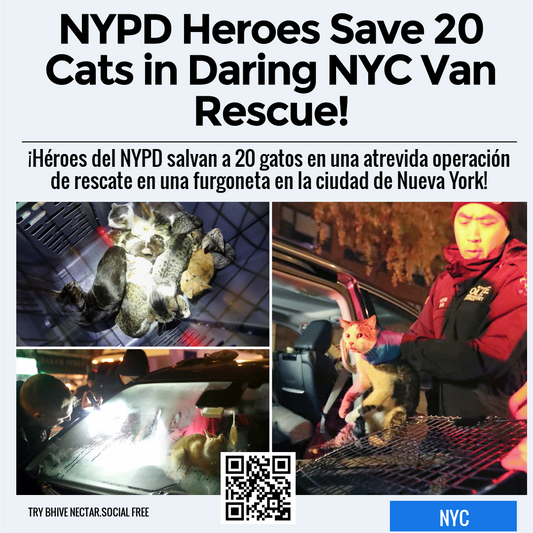 NYPD Heroes Save 20 Cats in Daring NYC Van Rescue!