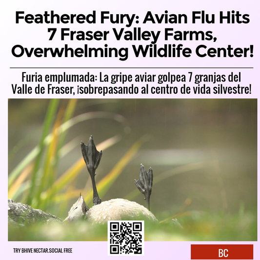 Feathered Fury: Avian Flu Hits 7 Fraser Valley Farms, Overwhelming Wildlife Center!