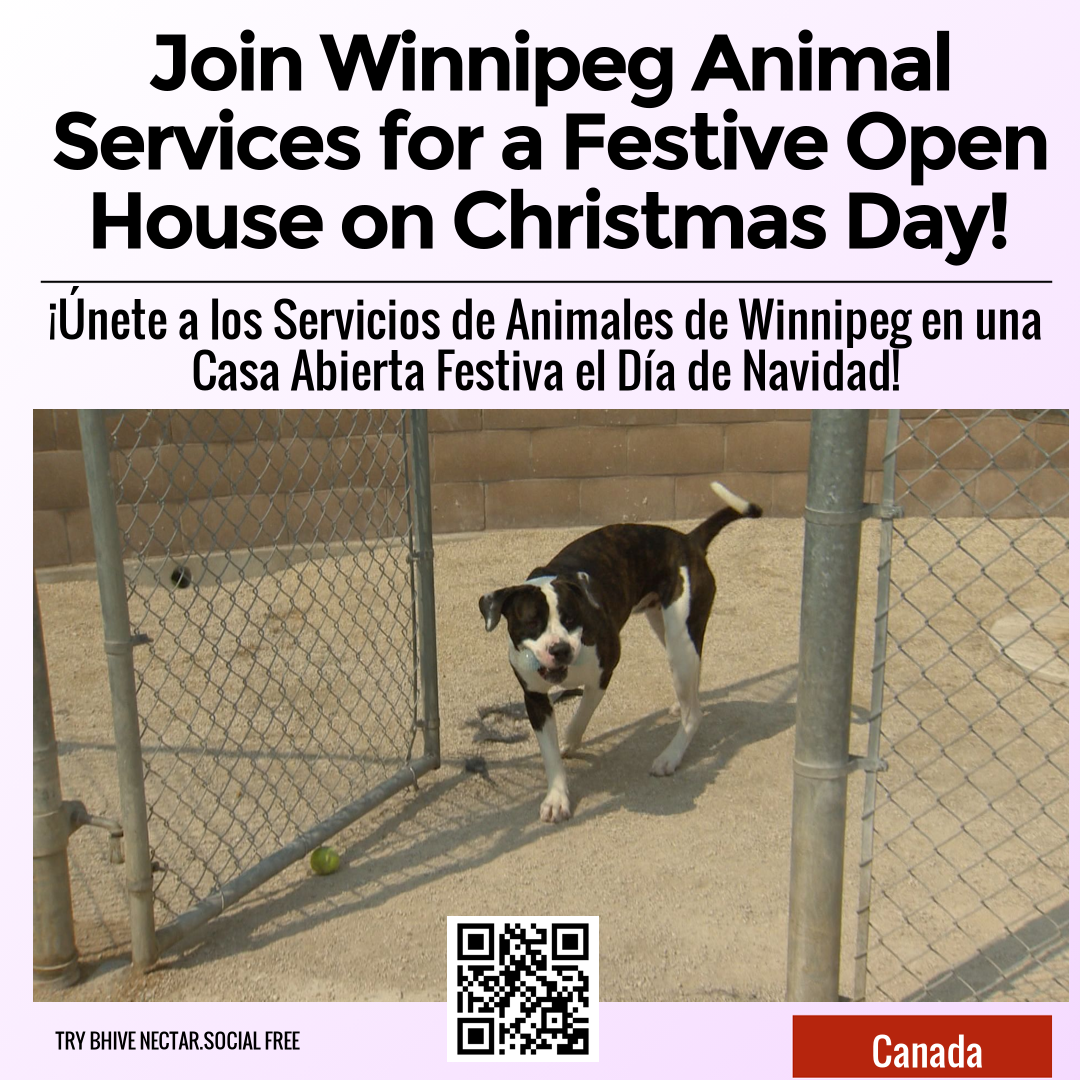 Join Winnipeg Animal Services for a Festive Open House on Christmas Day!