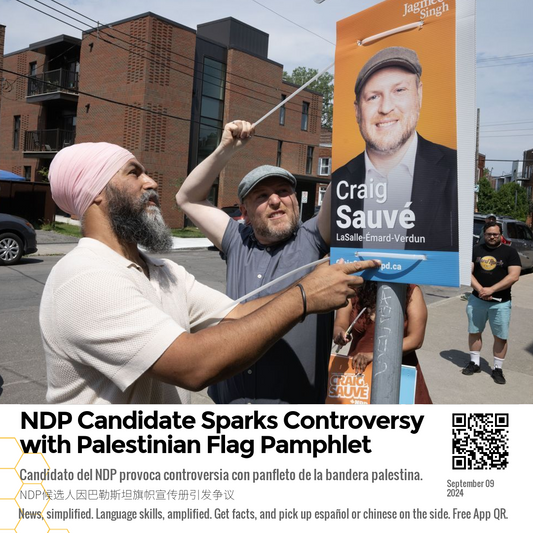 NDP Candidate Sparks Controversy with Palestinian Flag Pamphlet