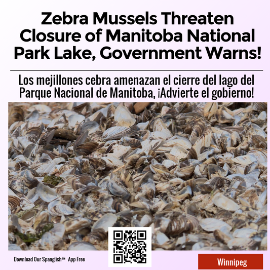 Zebra Mussels Threaten Closure of Manitoba National Park Lake, Government Warns!