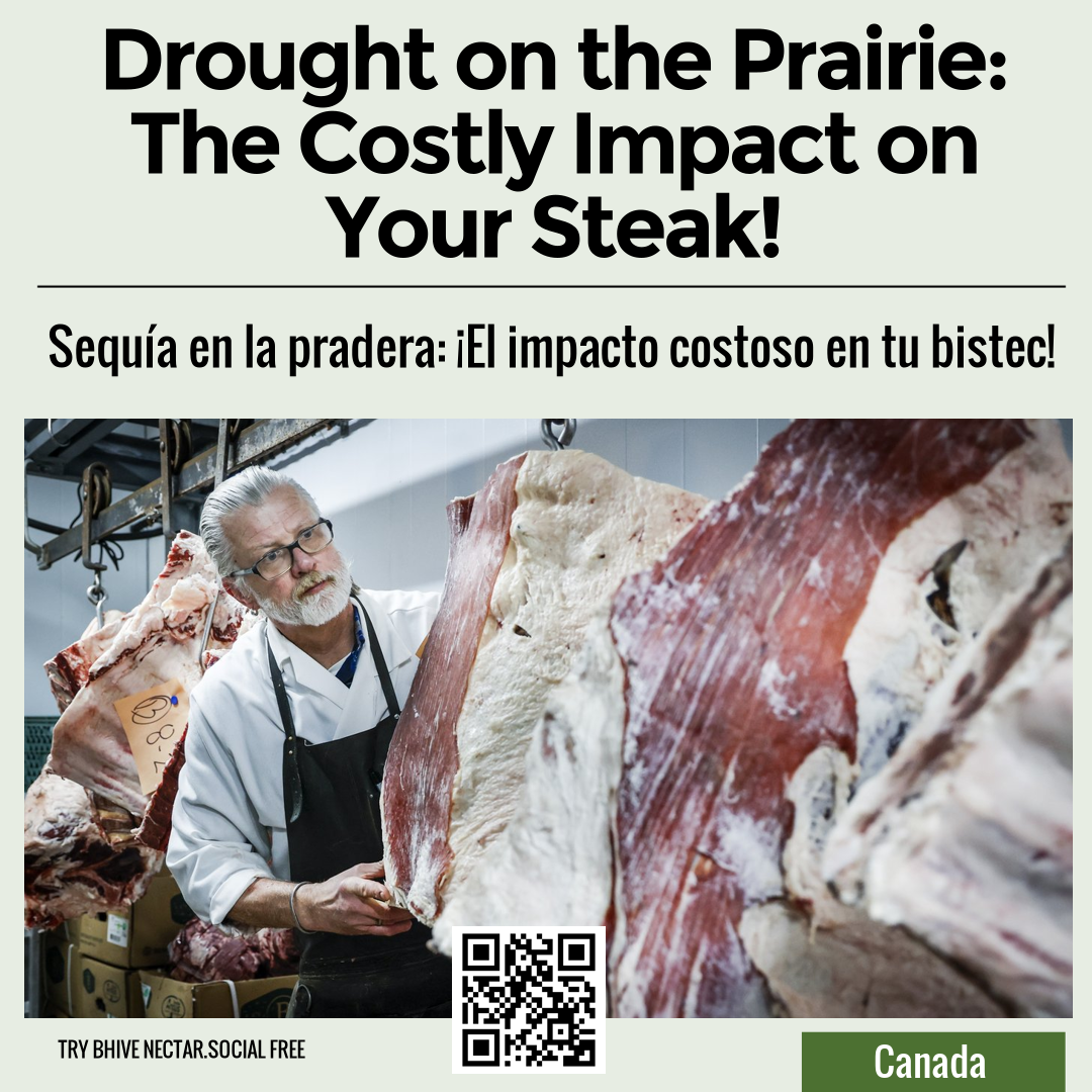 Drought on the Prairie: The Costly Impact on Your Steak!