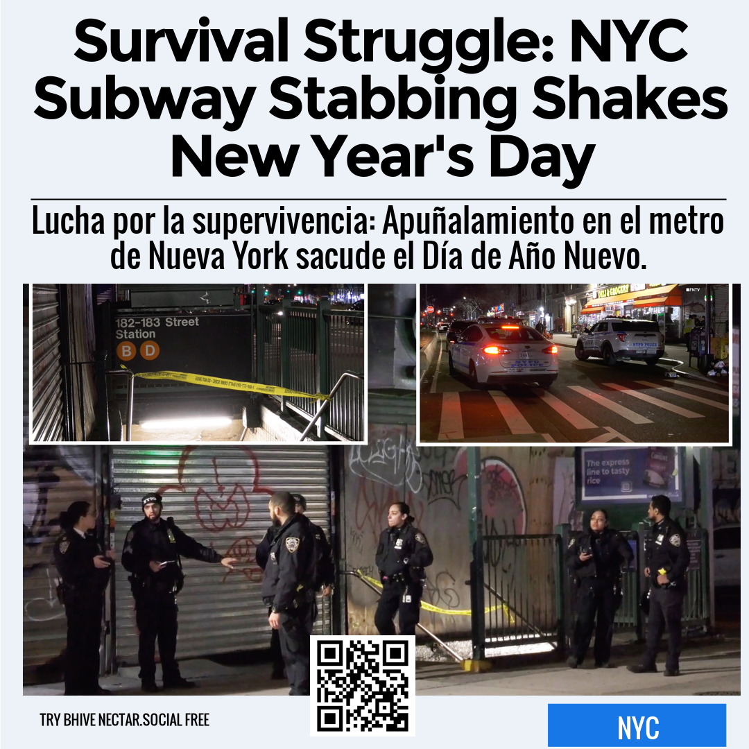 Survival Struggle: NYC Subway Stabbing Shakes New Year's Day