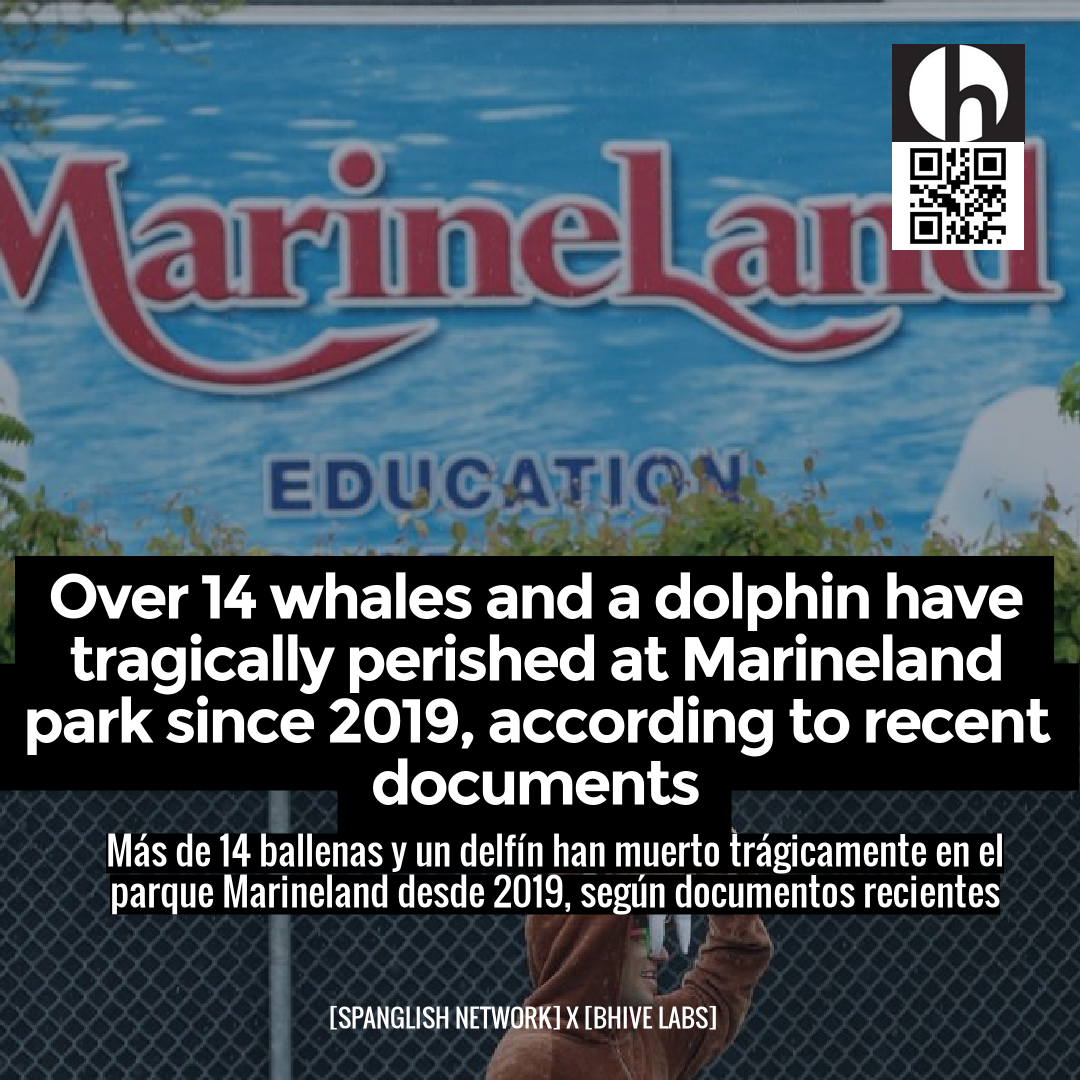 Over 14 whales and a dolphin have tragically perished at Marineland park since 2019, according to recent documents