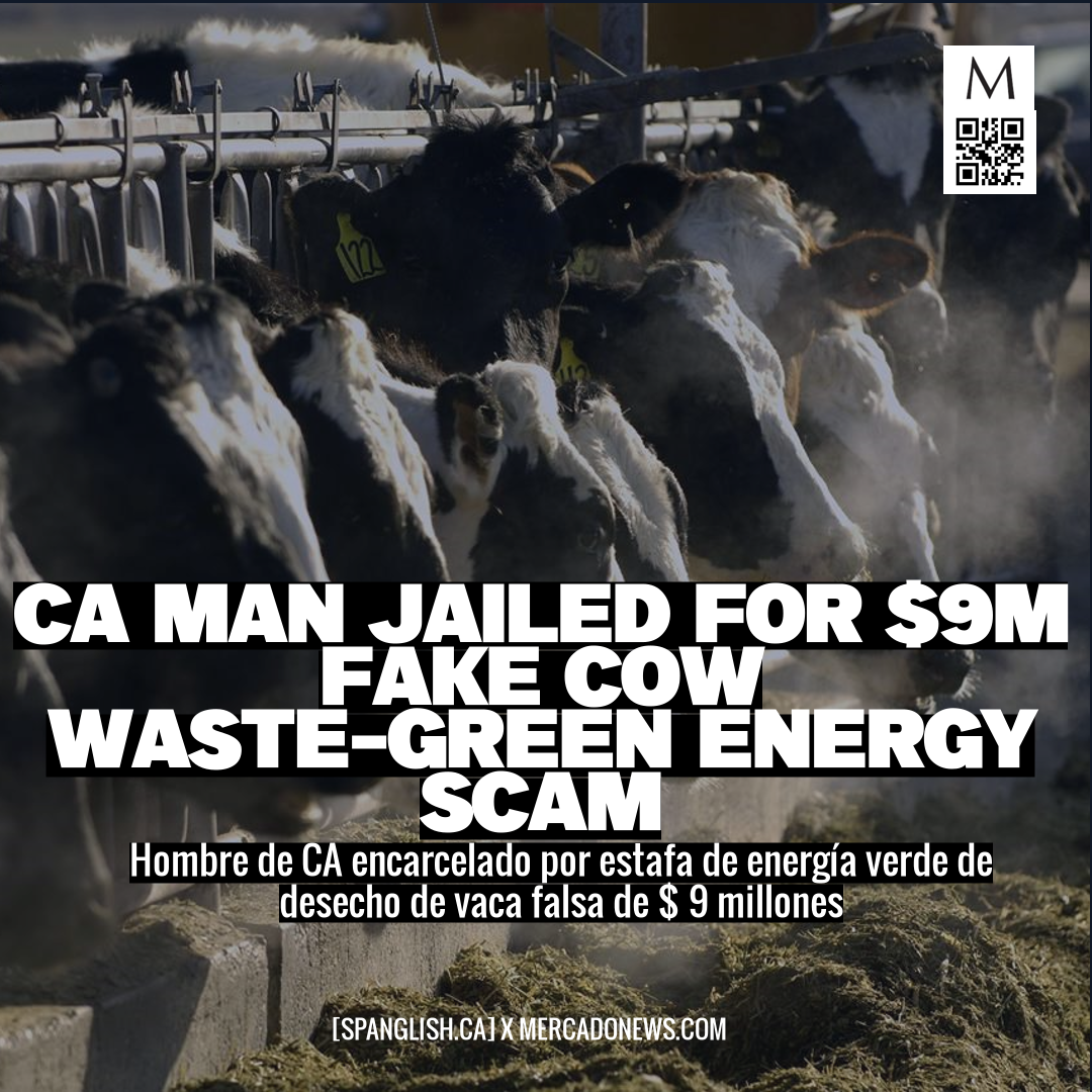CA Man Jailed for $9M Fake Cow Waste-Green Energy Scam