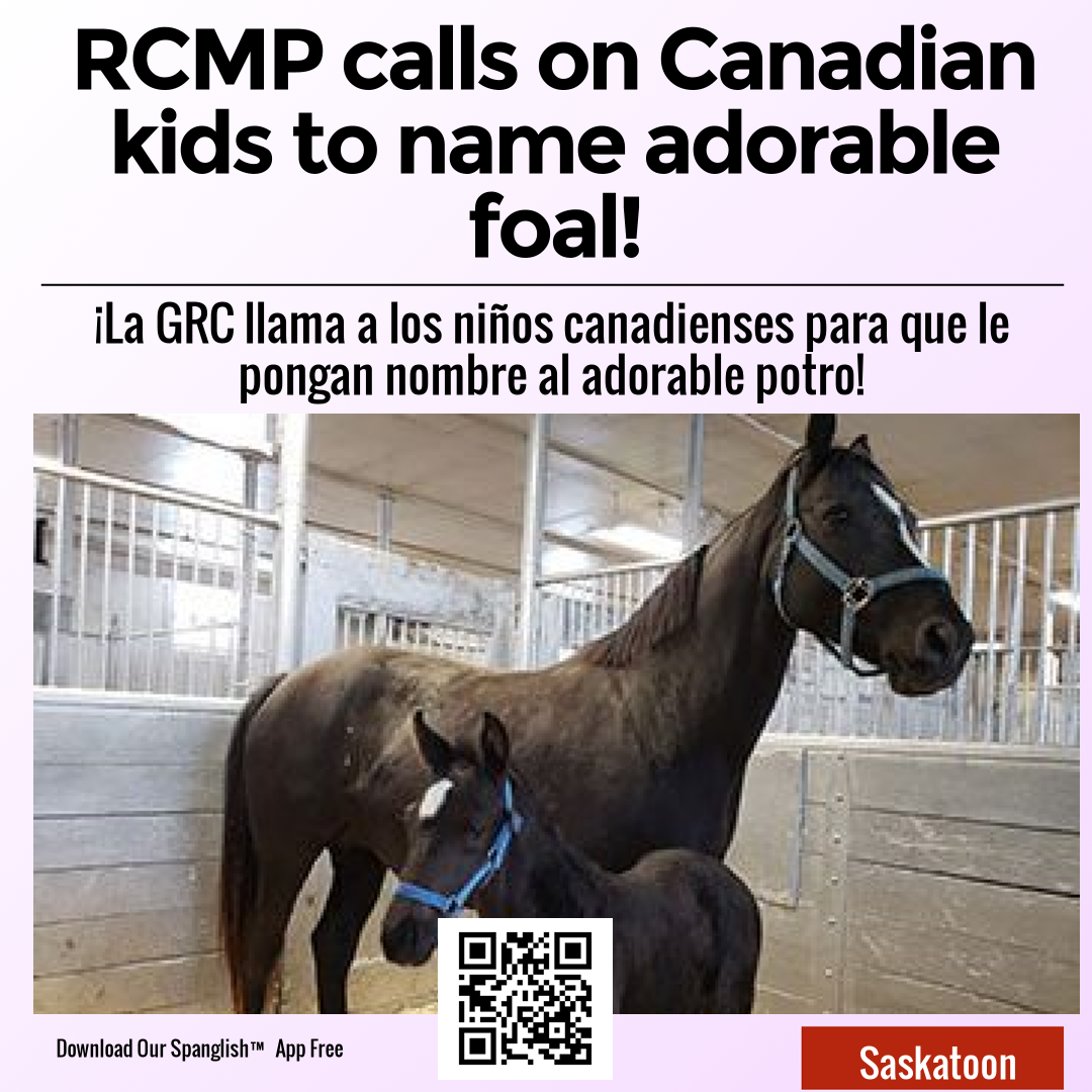 RCMP calls on Canadian kids to name adorable foal!